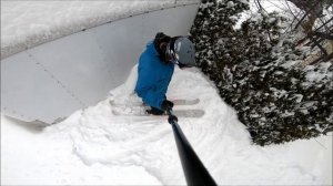 Line Sir Francis Bacon in the Backyard