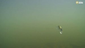 DUO Spearhead RYUKI 60S