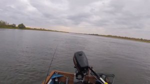 Судак на новый спиннинг Maximus Sea Wolf