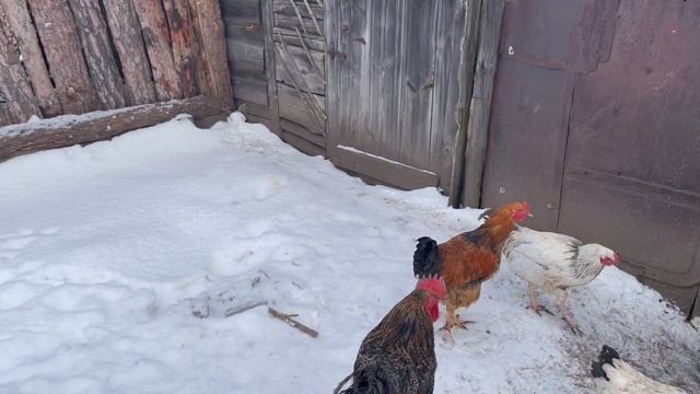 06-12-2023 смотреть онлайн