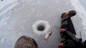 ловля на гвоздешарик