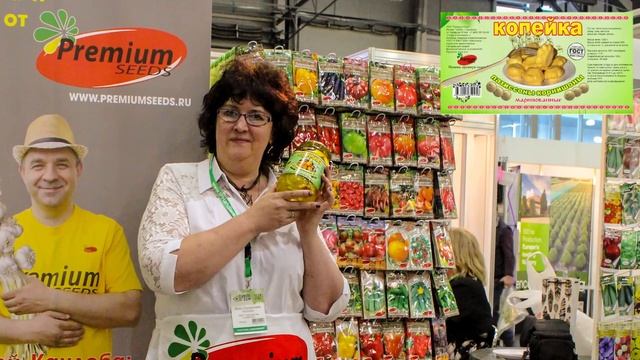 Наш любимый Патиссон-корнишон «Копейка»