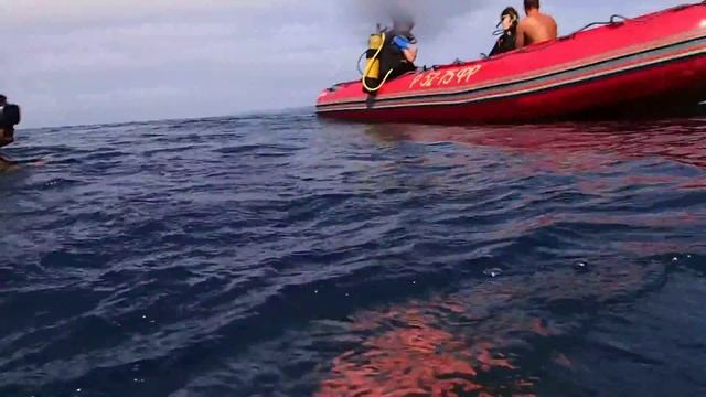 Olympus Tough TG-1 Съемка в море смотреть онлайн