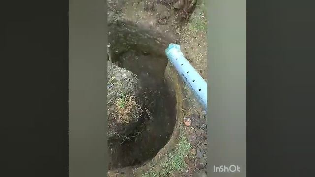 Глибинне кореневе підживлення винограду