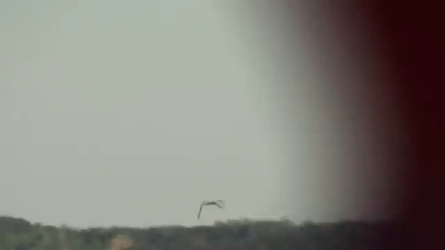 Ловля судака на тюльку.