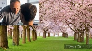 Адмиралы района, новинка 2020, интересные факты, анонс, дата выхода, актеры