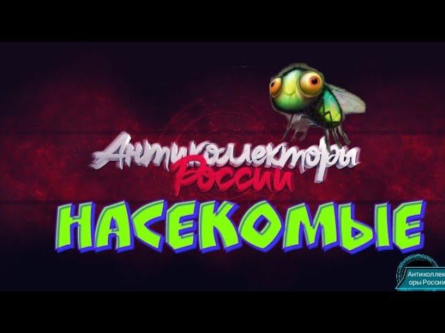 НАСЕКОМЫЕ