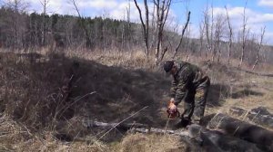 Валка леса прикол