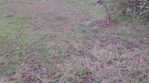 100м ПОЛНОТЕЛЫЕ ПУЛИ СРАВНЕНИЕ ЛУЧШИХ.