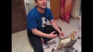 Это дичь какая-то?!?!?