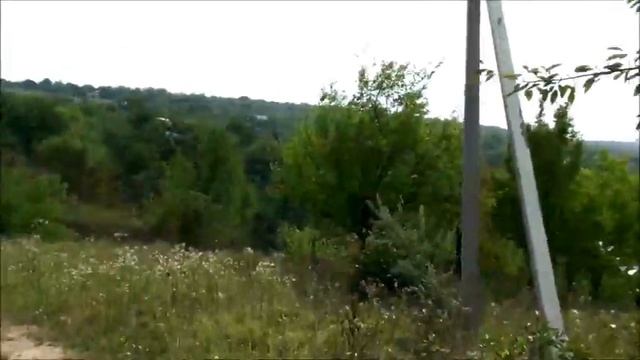 Влог: Молдова - поездка на дачу, родная природа и шашлыки