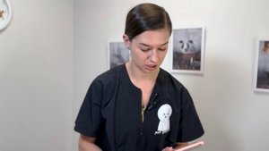 Вычесываем французского бульдога, мопса, чихуахуа и других короткошерстных