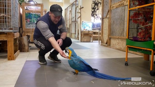 Контактный зоопарк в Донецке ДНР | Животные ждут детей и взрослых смотреть онлайн