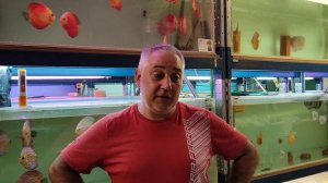 PH Воды в аквариуме и что это такое ?