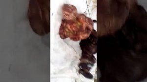 Замотали парня скотчем и скинули в конаву