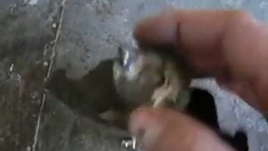 приспособление для сжатия (вкручивания) задних  суппортов