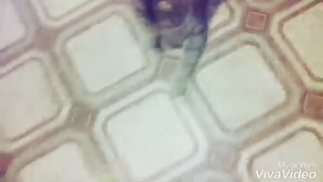 3 идейки того что можно сделать когда дома скучно) смотреть онлайн