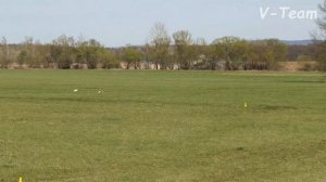 Whippets Archie Invisible Wings (R) - Amber Veiv´s Marius (W). SLOVAK COURSING CHAMP 2018.