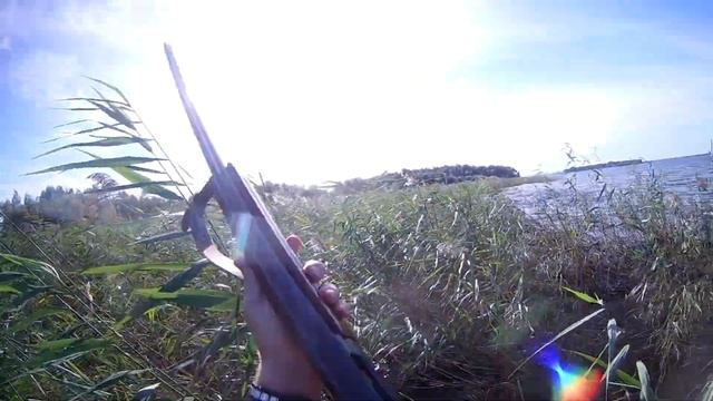 охота на уток осень 2017. полные сапоги чирков, немного кряквы и много камыша)))) ружье мц 21-12 смотреть онлайн