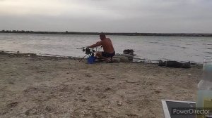 Ловля АМУРА и КАРПА на КУКУРУЗУ. Рыбалка в ЗАВОЗ.
