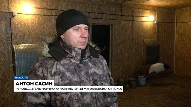 День заповедников и национальных парков отметили в России