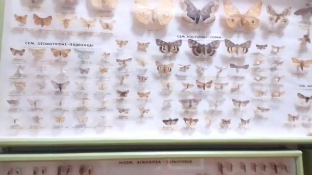 Национальная академия наук Казахстана смотреть онлайн