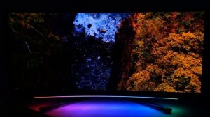 MSI MEG 342C QD-OLED: ОДИН ИЗ ЛУЧШИХ ИГРОВЫХ МОНИТОРОВ!