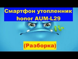 Смартфон утопленник honor AUM-L29 (Разборка). Honor AUM-L29 drowned smartphone.