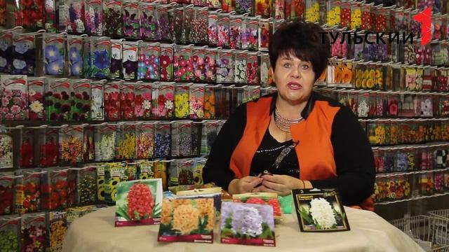 Гиацинты смотреть онлайн