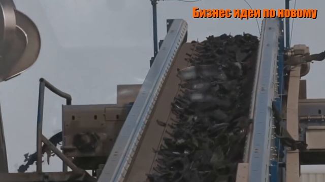 Топ 10 бизнес идей для настоящих мужчин на 2022 год. Бизнес идеи. Бизнес канал.Бизнес с нуля