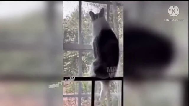 Самое смешное что только есть на ютубе 😂😂 смотреть онлайн