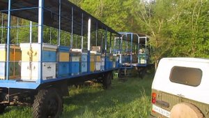 Кочевая пасека авч Просто красиво Точок в 6 часов утра