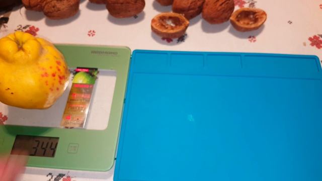 Айва обыкновенная Cydonia oblōnga смотреть онлайн