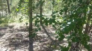 Таинты озеро Восточный Казахстан