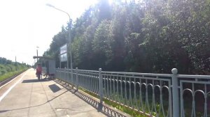 Путешествие в пос. Чаща МУЗОН НА 4:15 ЛЕНОБЛАСТЬ Гатчинский район