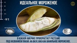 Сравнение самых холодных объектов