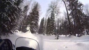 Снегоходы