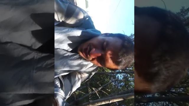 Пеший Марафон Москва-Питер. День19. Кафе и Сон смотреть онлайн