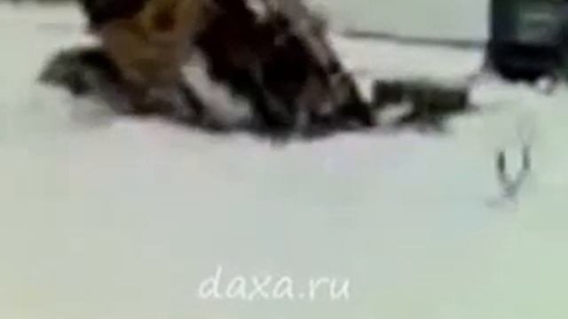 Рок-балалайка РУССКАЯ ДОРОГА.
