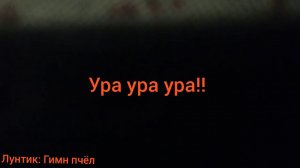 Лунтик: Гимн пчёл