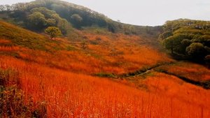 Пляж Рица в Находке