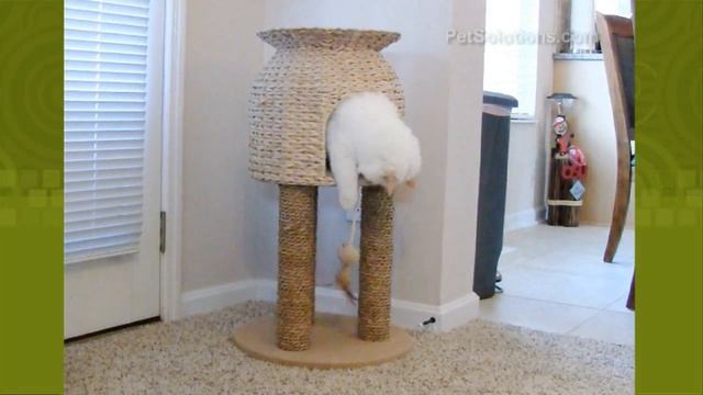 PetSolutions: Ware Hyacinth & Juke Scratch-N-Sleep Tower for Cats смотреть онлайн