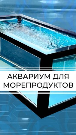 Морепродукты в аквариуме. Хранение.