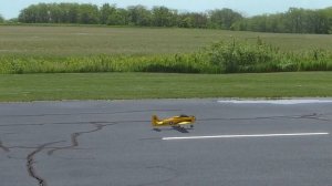 RealFlight Evolution RC Flight Simulator