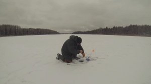 Зимняя рыбалка в Конаково  сезон 2018\2019