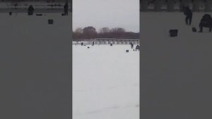 Ловля рыбы на реке Ока у Белоомутской плотины