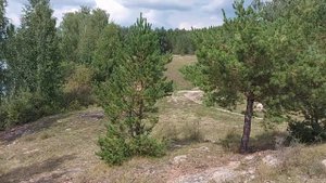 3 августа 2023 г. Водохранилище на реке Кабанка около старинного уральского села Демарино.