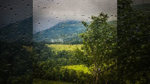 Hüzünlü arka parça