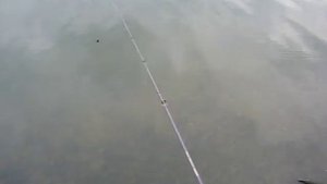 How To Adjust A Baitcaster. Как настроить мультипликаторную катушку с магнитным тормозом