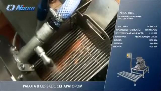 Nikko Company смотреть онлайн